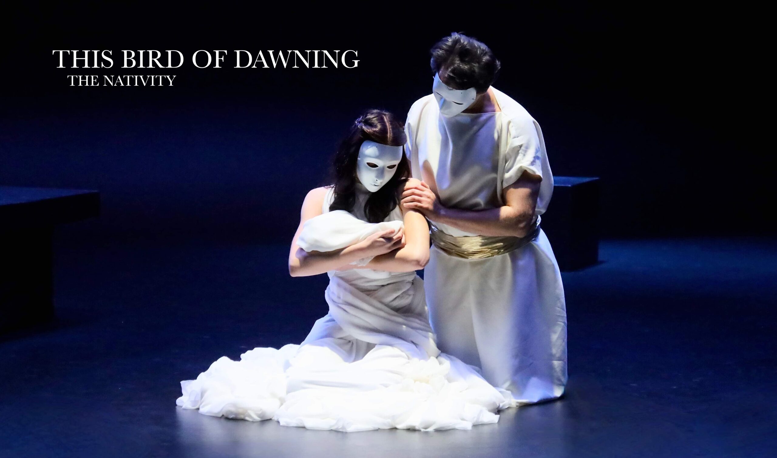 This Bird Wins copy 1